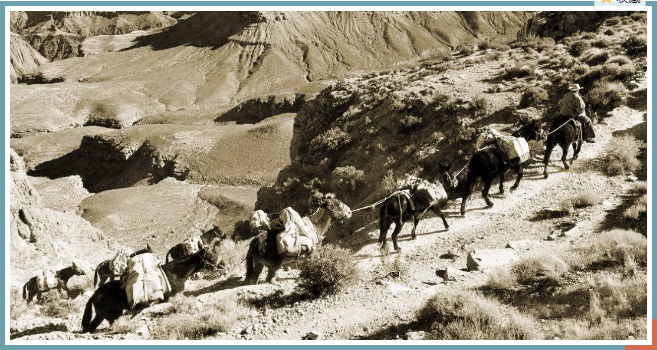 茶叶學(xué)堂 || 存放方法正确的茶方能(néng)越陈越香